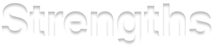 /images/top/strengths_title.png